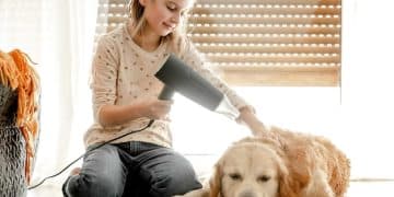 Dyson Pet Grooming Kit Review: Worth the Price After 6 Months? - Cover Image
