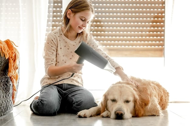 Dyson Pet Grooming Kit Review: Worth the Price After 6 Months?