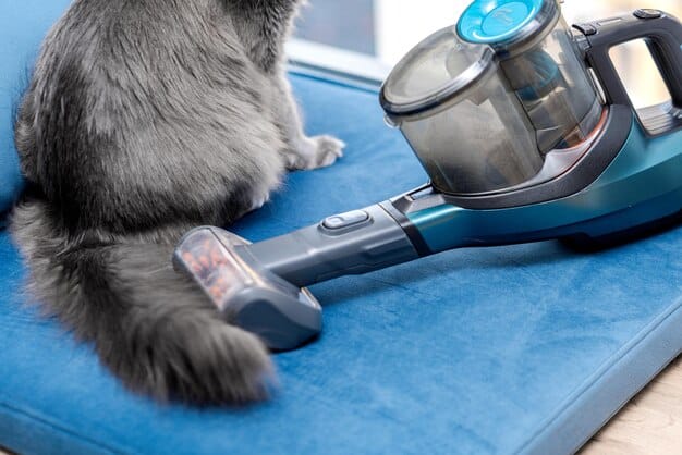 Close-up of the Dyson Pet Grooming Kit attachment being used on a short-haired cat. The image focuses on the bristles and how they effectively collect loose fur. The cat appears relaxed and undisturbed.