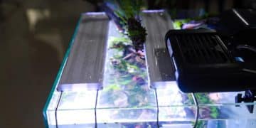 Are Self-Cleaning Fish Tanks Worth It? A 2025 Review - Cover Image