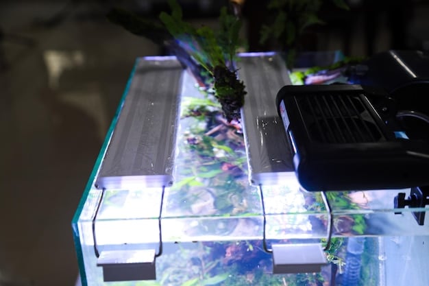 Are Self-Cleaning Fish Tanks Worth It? A 2025 Review