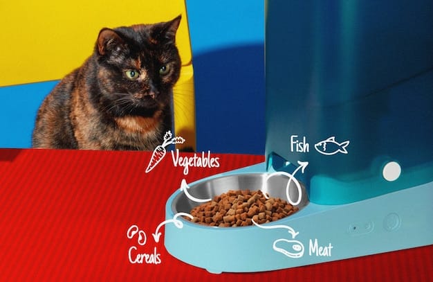 A split image showing two bowls of cat food: one labeled 