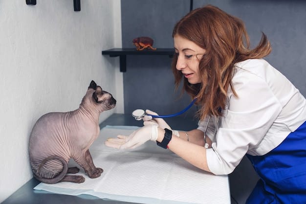 A veterinarian examining a cat on an examination table, with various cat food bags labeled 
