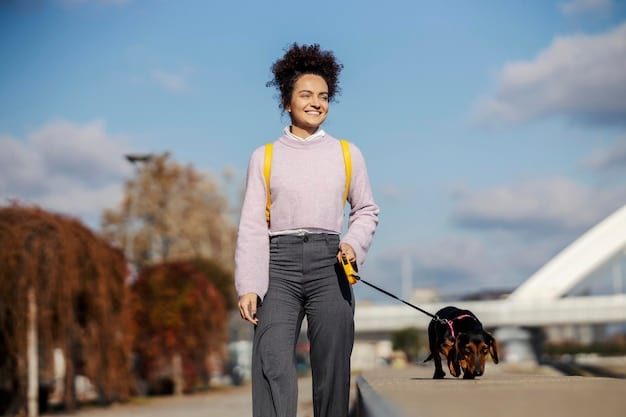 A dog wearing a comfortable harness during a training session in a park, with its owner holding a long leash. The dog is focused on the owner and looks happy.