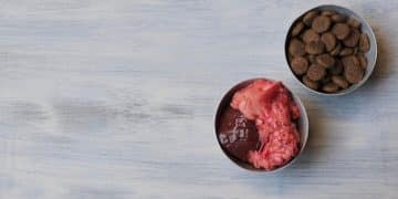 The Truth About Raw Dog Food: Brands, Benefits, & Risks in 2025 - Cover Image