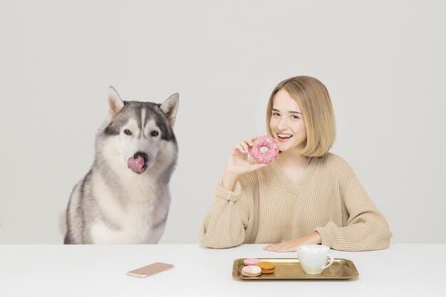 A split-screen image showing contrasting scenarios. On one side, a dog happily eating raw food from a clean bowl in a sanitized kitchen. On the other side, a visual depicting bacteria (Salmonella, E. coli) multiplying on a piece of raw meat, emphasizing the risk of contamination.