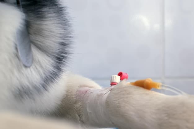 A close-up shot of a vet examining a blood sample from a dog, with a focus on the diagnostic equipment used to detect diabetes. The background includes the sterile environment of a veterinary lab.