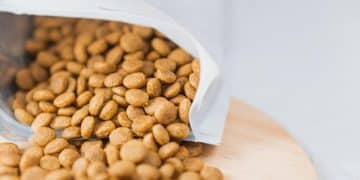 Urgent Recall: Pet Food Brand X Linked to Salmonella - Check Now! - Cover Image