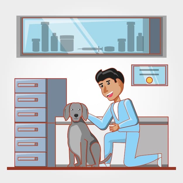 A veterinarian examining a dog, with the pet owner looking on with concern. The background is a clean and well-equipped veterinary clinic.