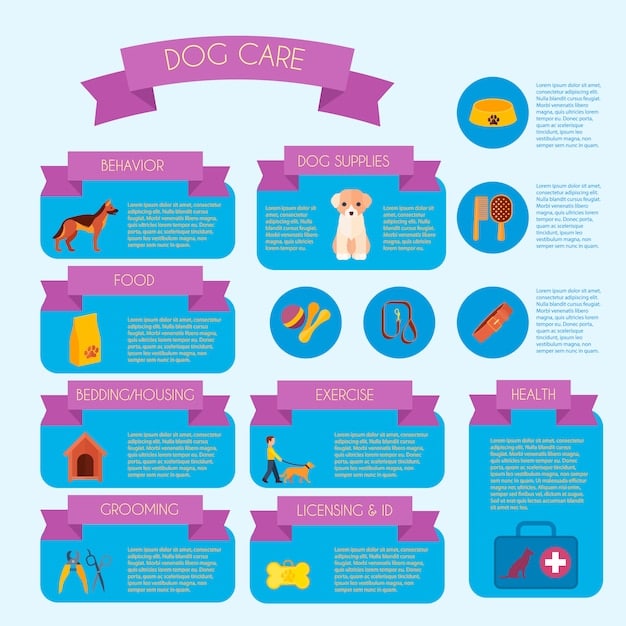 An infographic showing a dog's digestive system, with arrows pointing to different areas and text explaining how fiber affects digestion in each area. Text highlights the importance of fiber for healthy bowel movements and nutrient absorption.