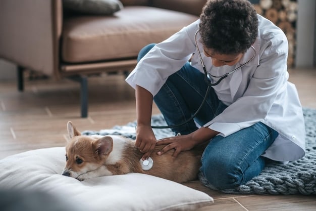 A veterinarian administering a heartworm test to a dog in a clinic setting. The dog is calm and relaxed, and the veterinarian is smiling, conveying a sense of trust and professionalism.