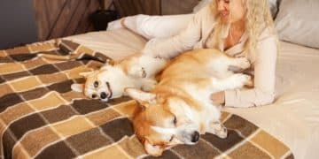 Arthritis in Senior Pets: 5 Strategies for Pain Relief & Mobility - Cover Image