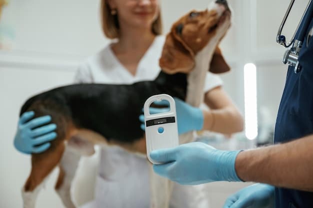 A veterinarian gently scans a dog's neck with a microchip scanner. The dog appears relaxed and comfortable. In the background, the vet's office is clean and well-lit.