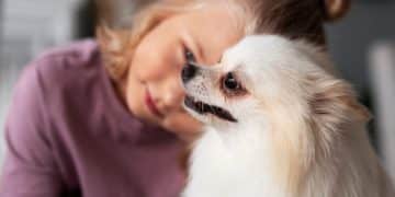 The Truth About Pet Allergies: Identifying Triggers & Effective Management - Cover Image