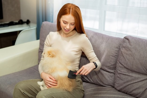 Recognizing Bloat in Dogs: A Guide to Signs, Prevention, and Emergency Care