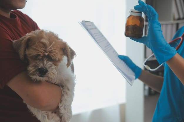 A close-up of a veterinarian applying flea and tick medication to a dog's back, emphasizing the importance of preventative care. The scene is set in a clean examination room.