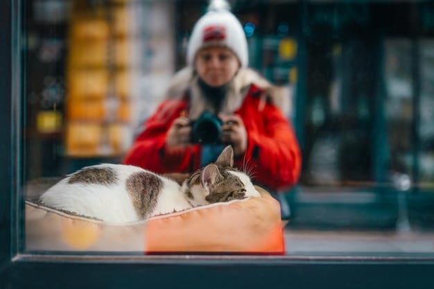 A cat comfortably sitting in its carrier, with the door open, inside a veterinary clinic waiting room. The owner is sitting nearby, gently petting the cat through the carrier's mesh window.