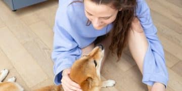 Updated Vaccination Schedules 2025: Protecting Your Pet - Cover Image