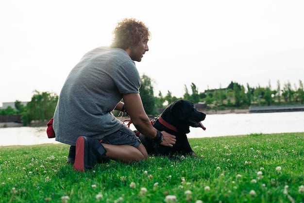 A dog trainer kneeling down and calmly interacting with a dog that is wearing a muzzle, in a controlled outdoor environment with other dogs in the distance.