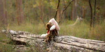 Potty Training Regression: 3 Proven Methods to Get Your Dog Back on Track - Cover Image