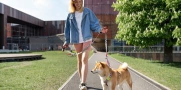 Leash Reactivity Breakthrough: Reduce Lunging by 50% - Cover Image