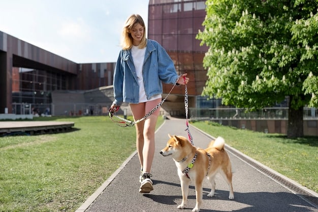 Leash Reactivity Breakthrough: Reduce Lunging by 50%