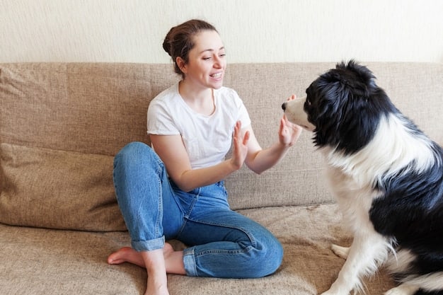A young girl calmly redirecting a border collie puppy's biting behavior by offering a chew toy instead of her hand, set in a sunlit living room.