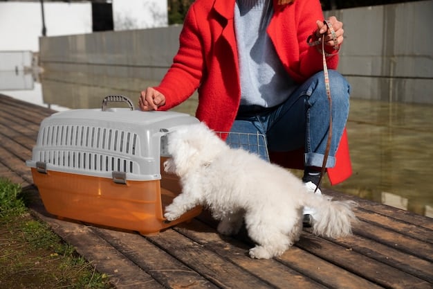 A medium-sized mixed-breed dog is lying down calmly in a plastic travel crate, with a soft bed inside. The dog is looking slightly to the side, with relaxed ears and a neutral expression, indicating comfort and familiarity with the crate.