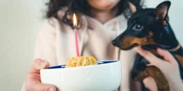 Stop Food Aggression Now: Your Comprehensive Training Plan - Cover Image