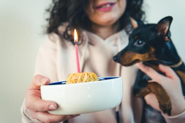 Stop Food Aggression Now: Your Comprehensive Training Plan