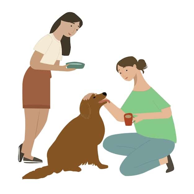 A person gently hand-feeding a dog, demonstrating trust and care while the dog eats calmly.