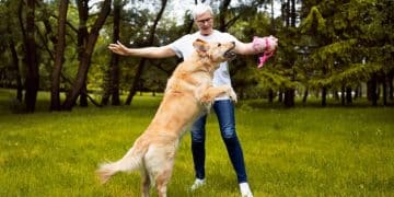 Mastering Dog Recall: Train Your Dog to Return Every Time - Cover Image