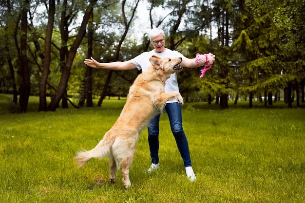 Mastering Dog Recall: Train Your Dog to Return Every Time