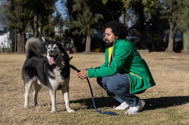A dog trainer working with a border collie in a busy park. The trainer is holding a handful of treats and giving the dog a clear hand signal, while the dog is focused on the trainer despite the presence of other dogs and people in the background.
