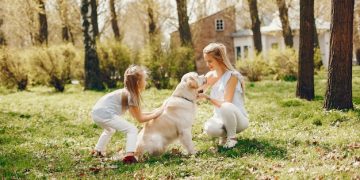 How to Socialize Your Puppy Safely: Week-by-Week Guide - Cover Image