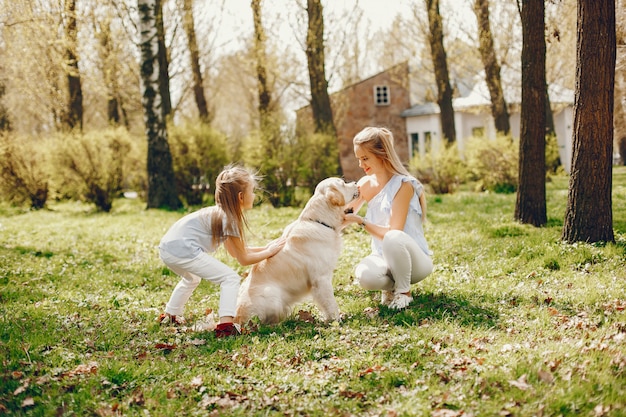 How to Socialize Your Puppy Safely: Week-by-Week Guide