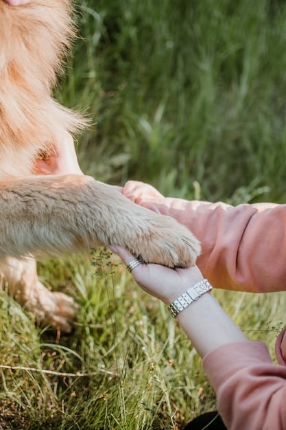 A person gently holding a newborn puppy in their hands, focusing on the puppy's tiny paws. The background is soft and blurred, emphasizing the delicate nature of the pup.