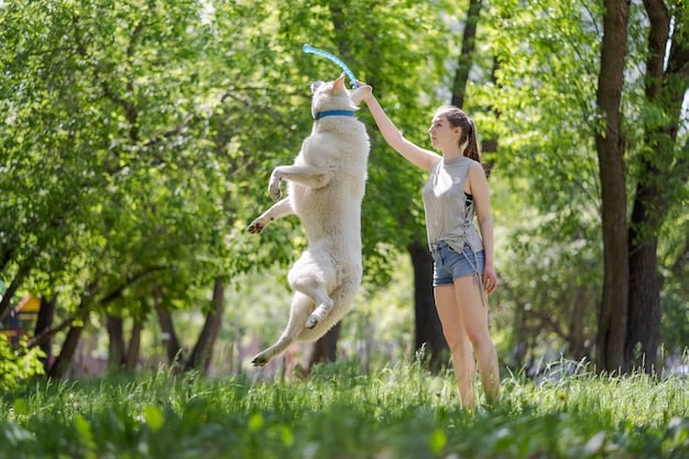 A happy Labrador retriever running through a park, with a frisbee in its mouth. The dog is surrounded by lush green grass and trees, conveying a sense of freedom and playfulness.