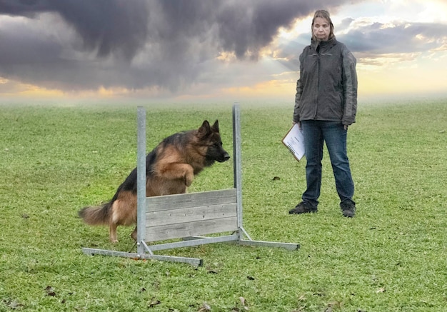 Advanced Obedience Training: Level Up Your Dog’s Skills in 2025