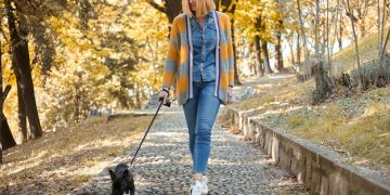Train Your Dog to Walk Nicely: A Step-by-Step Guide - Cover Image