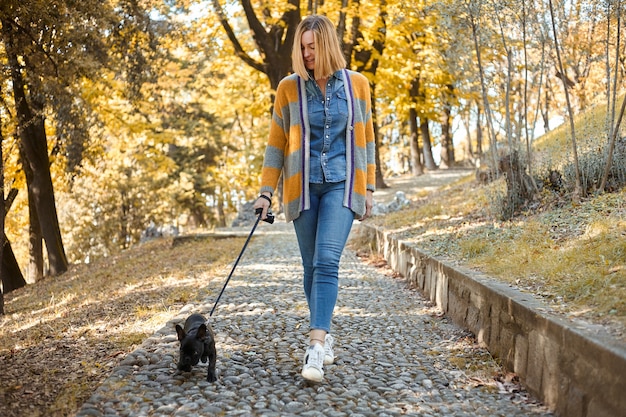 Train Your Dog to Walk Nicely: A Step-by-Step Guide
