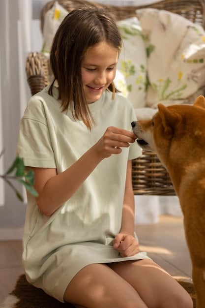 A woman is gently petting a dog wearing a calming vest. The dog looks relaxed and comfortable.