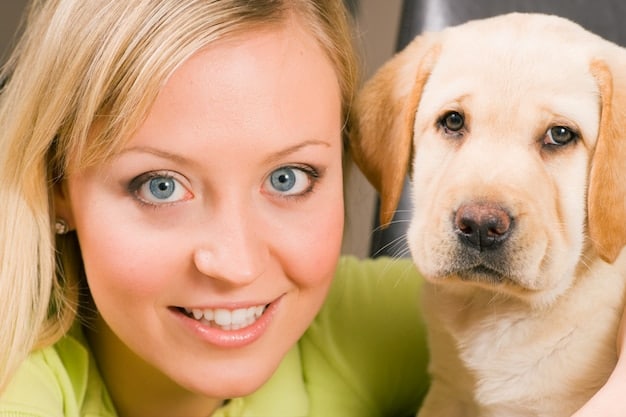 Dominance Theory in Dog Training: Why It’s Wrong & Humane Alternatives