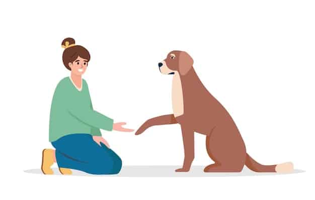 A person kneeling down to calmly interact with a nervous dog, offering a gentle hand with an open palm. The dog is hesitant but curious, showing a mix of fear and interest. The setting appears to be a quiet, safe space in a home.