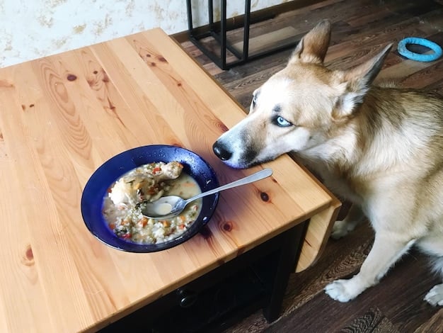A close-up photo of a dog growling slightly while eating from a food bowl. The dog's eyes are focused on the person approaching, indicating guarding behavior. The background is a simple kitchen setting.