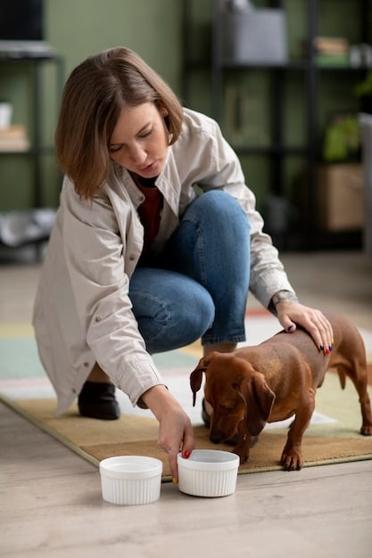 A dog calmly lying down near a food bowl with a person gently petting its back. The dog shows no signs of stress or guarding behavior, indicating successful management. The setting is a comfortable living room.