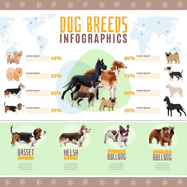 A chart showing different body condition scores for dogs, with images and descriptions for each score.