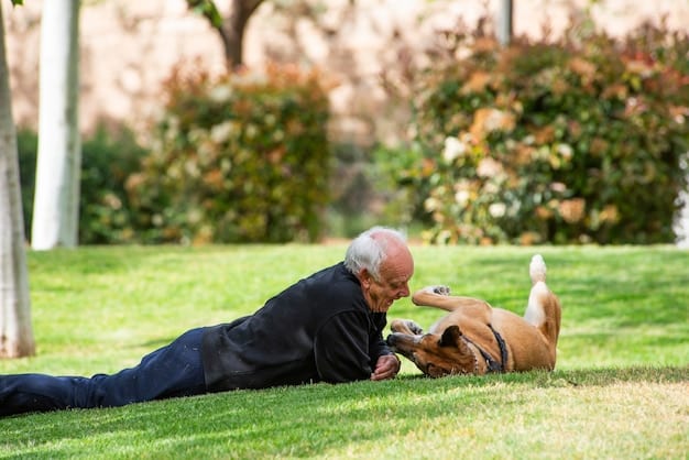 A senior dog happily running in a park. The dog appears energetic and pain-free, showcasing the benefits of joint supplements.