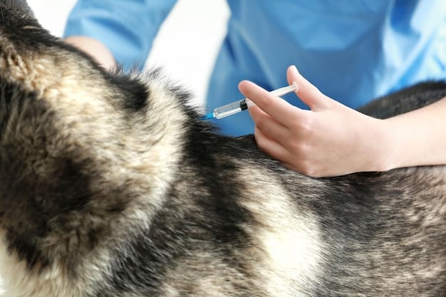 A close-up photo of a veterinarian administering a vaccine to a small dog. The veterinarian is wearing gloves, and the needle is visible. The dog appears calm and is being held gently by its owner.