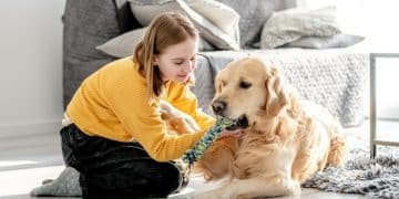 Boost Your Dog's Mental Health: The Power of 15 Minutes of Play - Cover Image